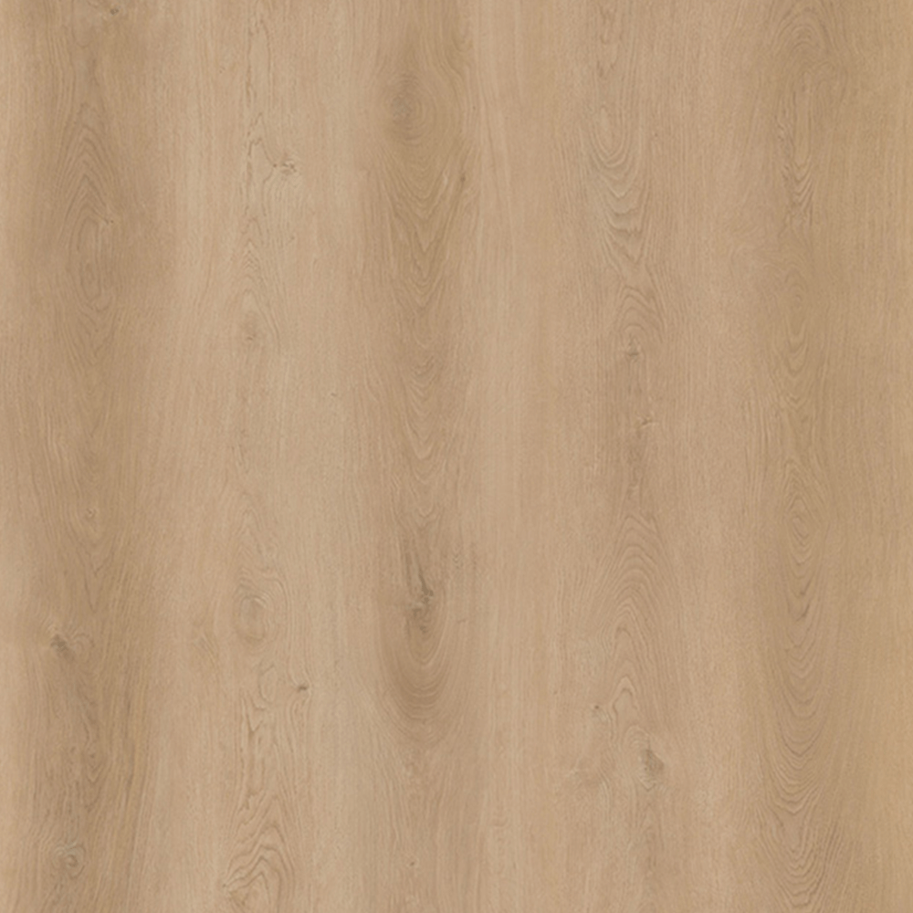 Forest Timber 6.5mm SPC Vinyl (22.65 sqft/box) – BetterHome